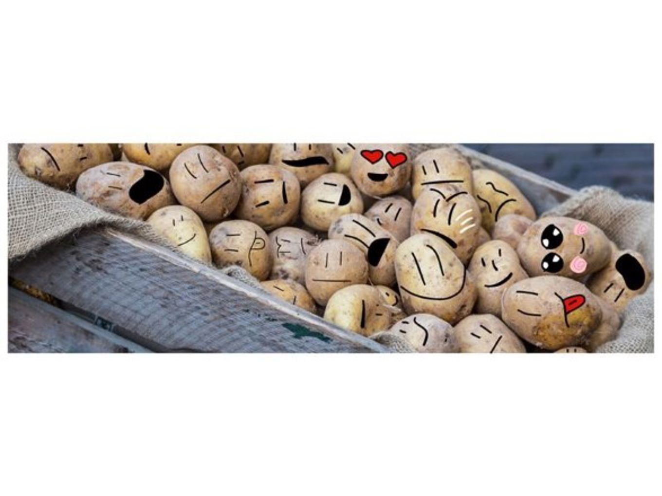 En av elevene på AKS har tatt et bilde  av poteter og  manipulert/tegnet på potetene