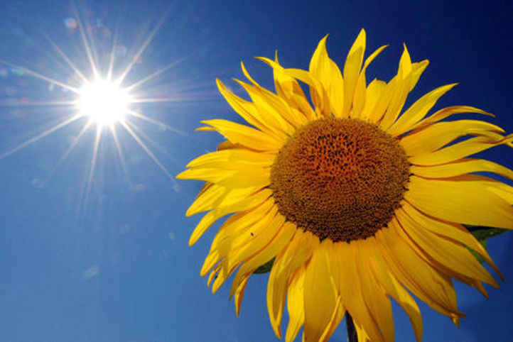 Sommerferie